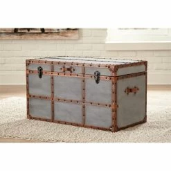 Coupon 🔥 Bowery Hill Storage Trunk Coffee Table In Gray 🎉 -Bedroom Benches Store 2135591 3 L